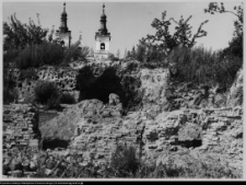 Wigry : zesp&oacute;ł klasztorno-kościelny