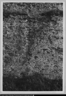 Wigry : zesp&oacute;ł klasztorno-kościelny