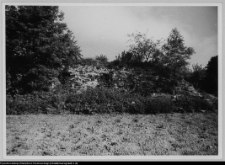 Wigry : zesp&oacute;ł klasztorno-kościelny