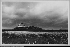 Wigry : zesp&oacute;ł klasztorno-kościelny