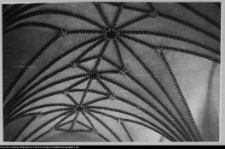 Wizna, kościół św. Jana Chrzciciela