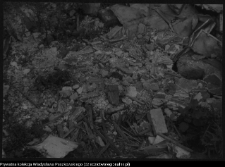 Supraśl, pobazyliański zesp&oacute;ł cerkiewno-klasztorny