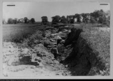 Tykocin, ruiny zamku