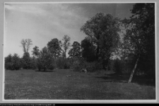 Bęćkowo, ogród dworski