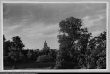 Bęćkowo, ogród dworski