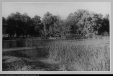 Rudka, park przypałacowy