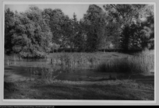 Rudka, park przypałacowy