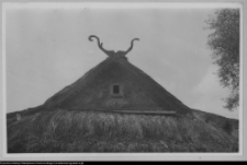 Plutycze, chaty drewniane