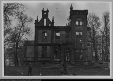 Pobikry, ruiny pałacu