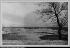 Kalinówka Kościelna, okolice