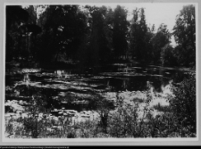 Ciechanowiec, park pałacowy