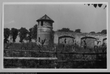 Ciechanowiec (Nowodwory), mur zamkowy