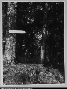 Szwajcaria pod Suwałkami