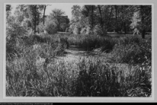 Białystok, park pałacowy