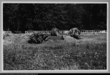 Białystok, park pałacowy