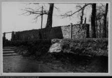 Białystok, Pałac Branickich, ogrodzenie parku