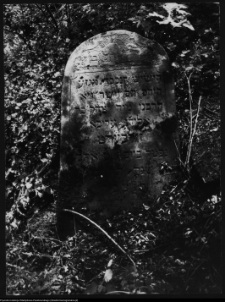 Białystok, cmentarz zydowski przy ul. Wschodniej