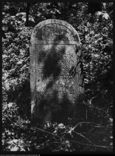 Białystok, cmentarz zydowski przy ul. Wschodniej