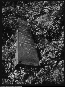 Białystok, cmentarz zydowski przy ul. Wschodniej