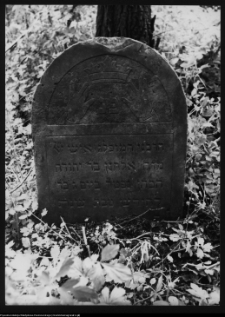 Białystok, cmentarz zydowski przy ul. Wschodniej