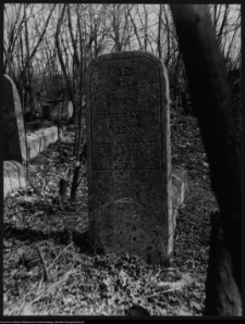 Białystok, cmentarz zydowski przy ul. Wschodniej