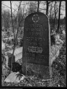Białystok, cmentarz zydowski przy ul. Wschodniej