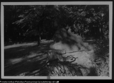 Białystok, odbudowa Pałacu Branickich