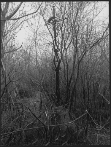 Nekropolie powiatu siemiatyckiego