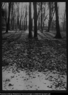 Białystok, odbudowa Pałacu Branickich, fragment ogrodu