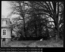 Mieduniszki Wielkie, park przypałacowy