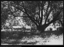 Supraśl, pałac Buchholtzów