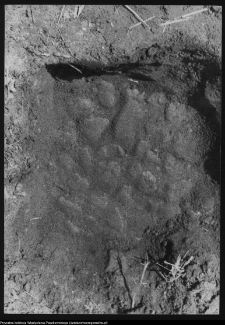 Renowacja zabytków województwa białostockiego