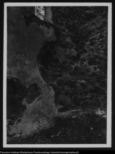 Mielnik, ruiny gotyckiego kościoła Świętej Trójcy