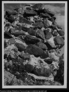 Mielnik, góra zamkowa