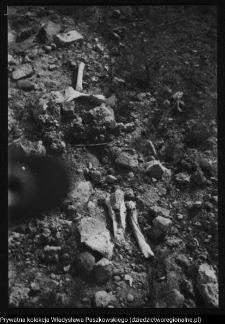 Mielnik, góra zamkowa