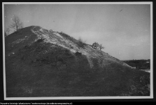 Mielnik, góra zamkowa