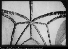 Wizna, odbudowa kościoła