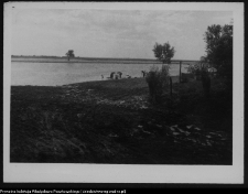 Wizna, widok na Narew