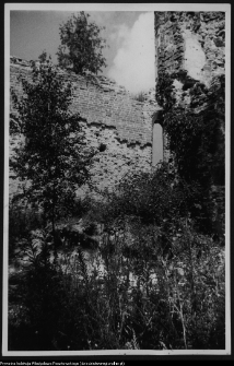 Mielnik, ruiny gotyckiego kościoła Świętej Trójcy