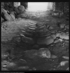 Wigry : zespół klasztorno-kościelny