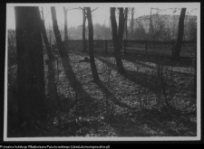 Białystok, Pałac Branickich, ogrody