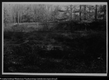 Białystok, Pałac Branickich, ogrody