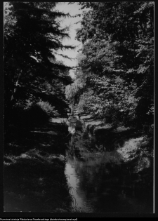 Białystok, rzeka Biała