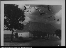 Krajobraz antropo-kulturowy