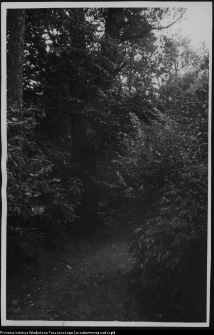 Hieronimowo, park pałacowy