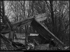 Hołny Mejera (Majera), ruiny dworu