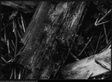 Hołny Mejera (Majera), ruiny dworu