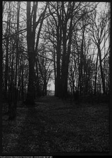 Hołny Mejera (Majera), ogród przy dworze