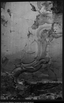 Białystok, odbudowa Pałacu Branickich