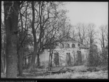 Hieronimowo, ruiny pałacu